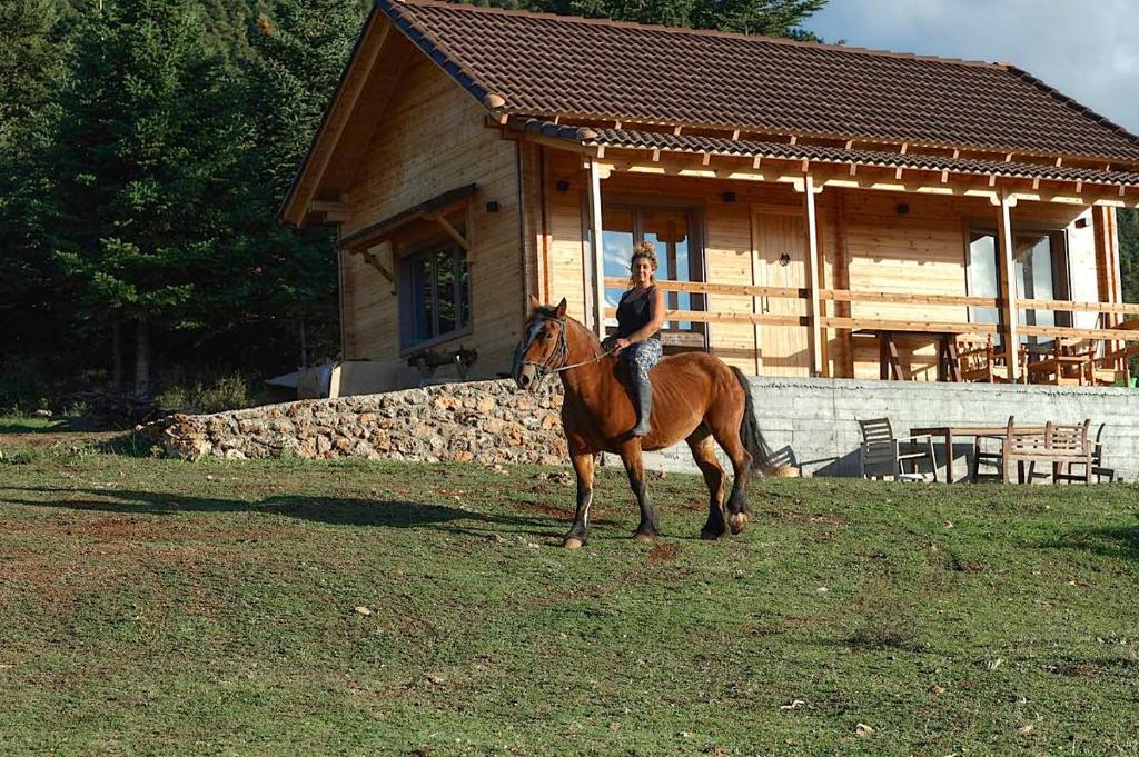Zvířata v farmy nebo okolí
