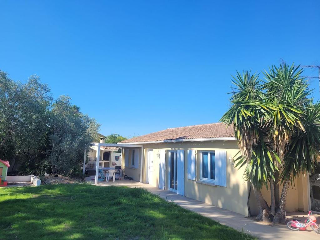 une maison avec un palmier à côté d'une cour dans l'établissement Beautiful villa with pool, à Baillargues