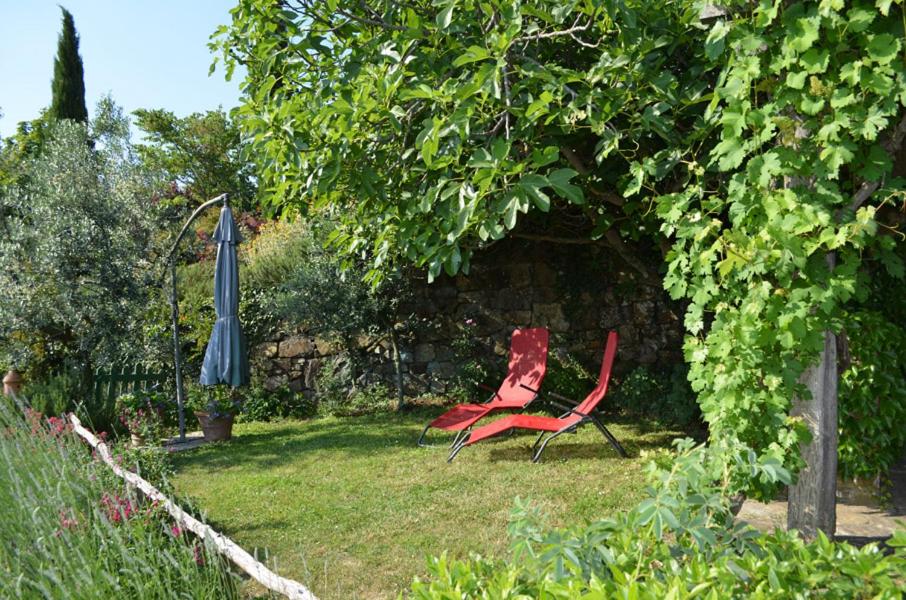 Ogród w obiekcie Casa Ercole Farm Stay