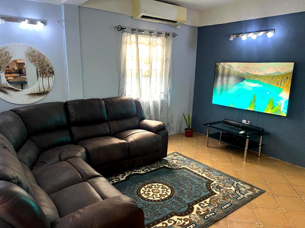 The Lime Suite Apt #2的电视和/或娱乐中心