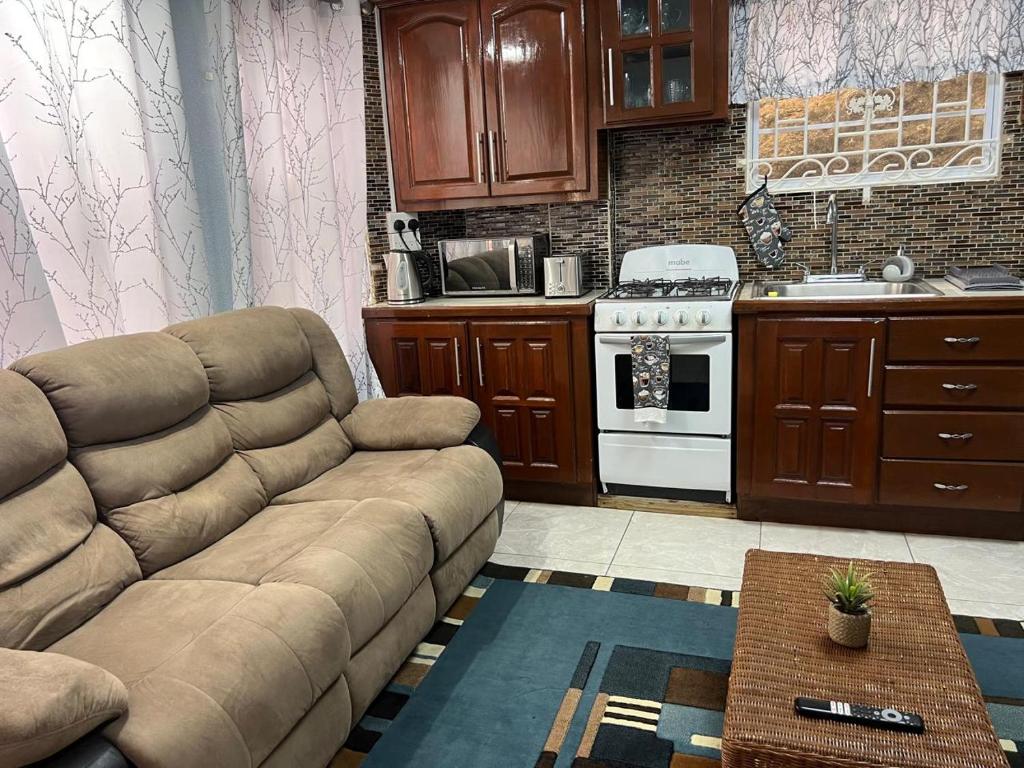 The Lime Suite Apt #2的厨房或小厨房