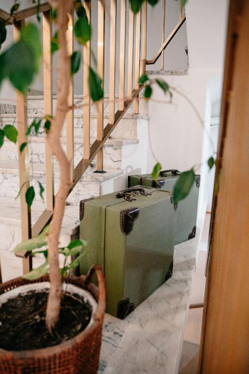 Fotografie z fotogalerie ubytování Arca Nova Hostel - Caminha v destinaci Caminha