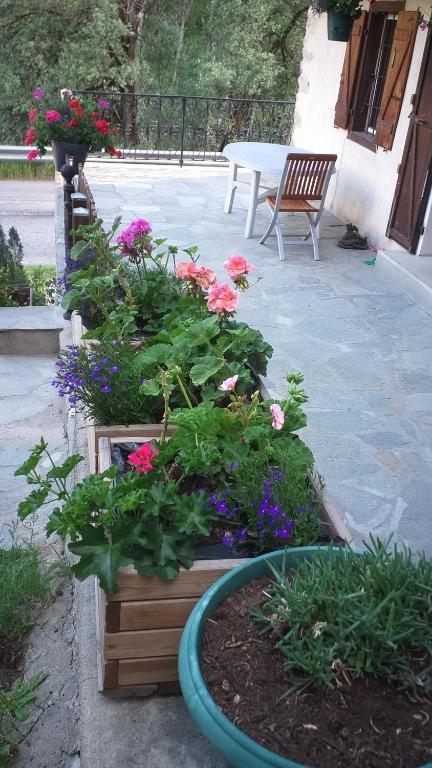 Vonkajšia záhrada v ubytovaní Les VIGNEAUX Hautes Alpes, Appartement 4 personnes, avec belle terrasse panoramique