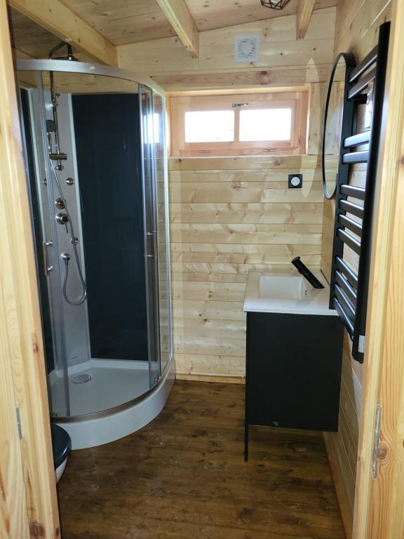 Chalet Météo TU 803 Trenkle – Neuf – Rosace Traditionnelle