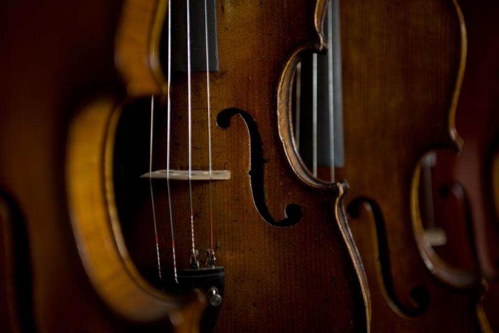 un primer plano de un violín de madera en B&B 104, en Blevio