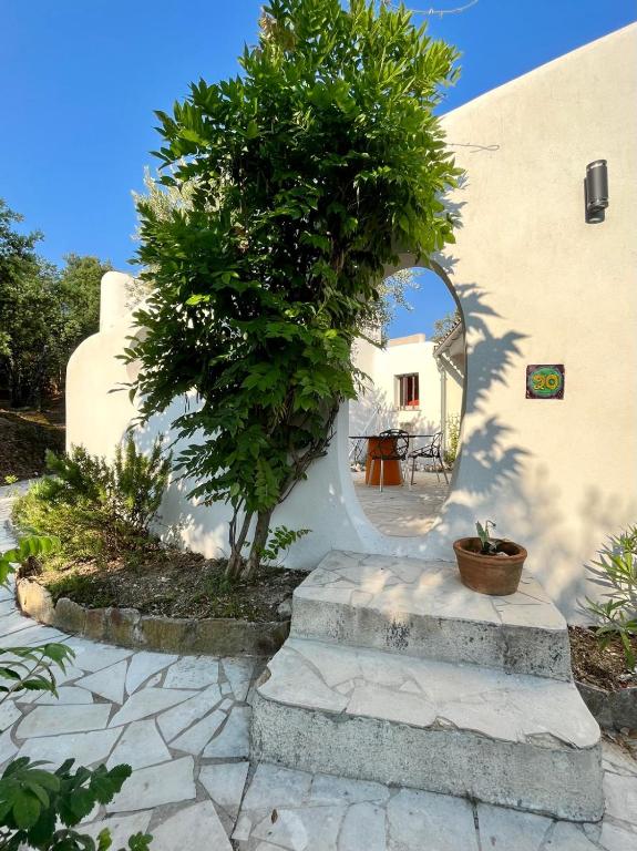 un bâtiment blanc avec un arbre et un miroir dans l'établissement Mas rénové par un architecte, au Plan-de-la-Tour