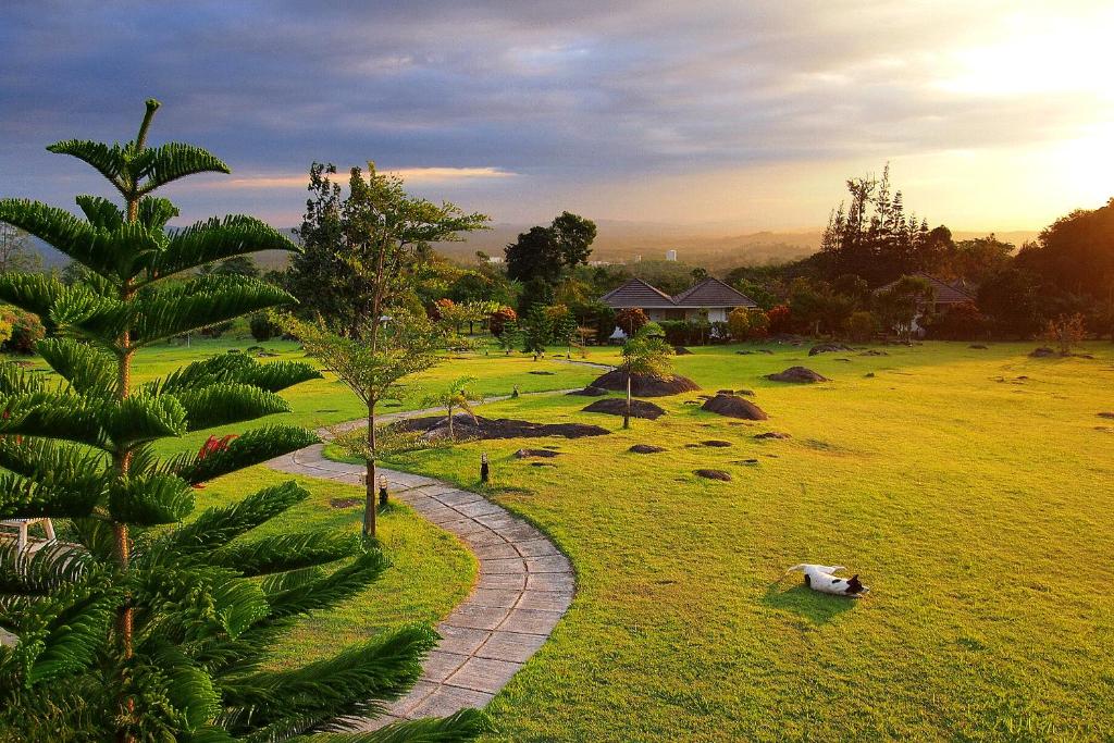 a cow laying on the grass in a field at The Natural Garden Resort in Ban Thap Sai