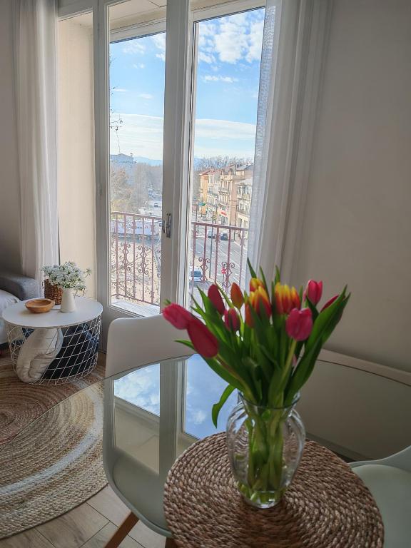 un vase de fleurs sur une table devant une fenêtre dans l'établissement appartement perpignan, à Perpignan