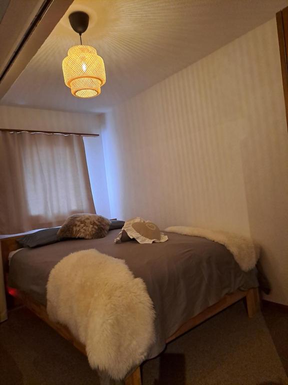 Postel nebo postele na pokoji v ubytování Vacances en tout tranquillité à Vercorin
