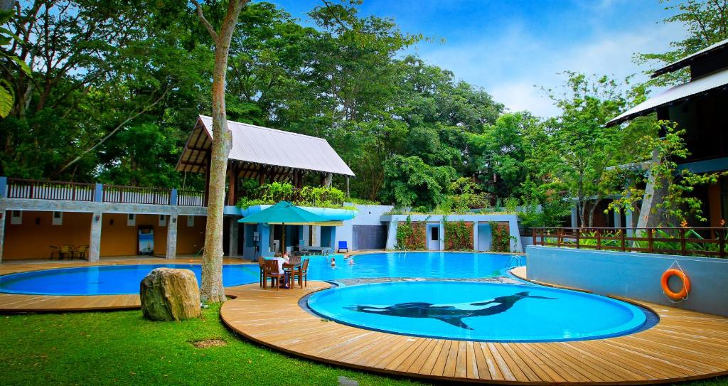 a swimming pool with a dolphin painted on it at Grand Udawalawe Safari Resort in Udawalawe