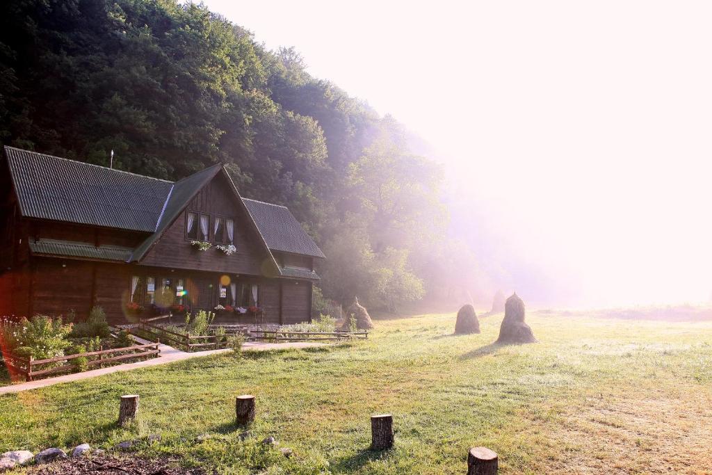 une maison au milieu d'un champ à côté d'une forêt dans l'établissement Pensiunea Dacica, à Boşorod