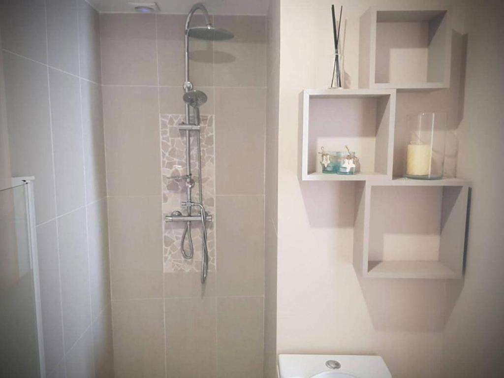 ein weißes Badezimmer mit Dusche und Toilette in der Unterkunft Paris & Disney - LES BORDS DE MARNE in Meaux