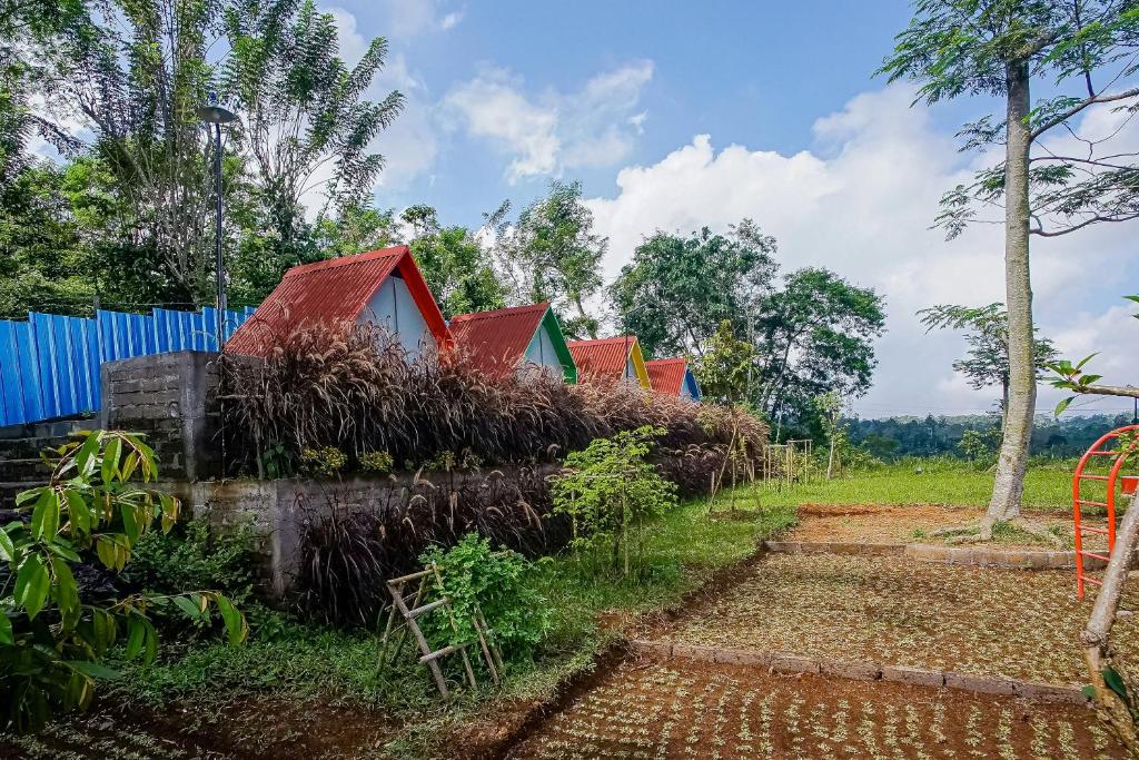 Zahrada ubytování Rainbow Glamping