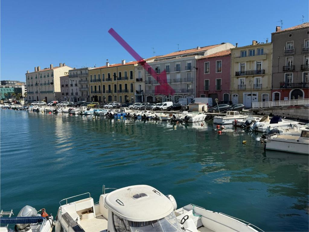 un groupe de bateaux amarrés dans un port de plaisance comportant des bâtiments dans l'établissement Appartement T2 centre-ville, parking privé, animaux admis - FR-1-338-562, à Sète