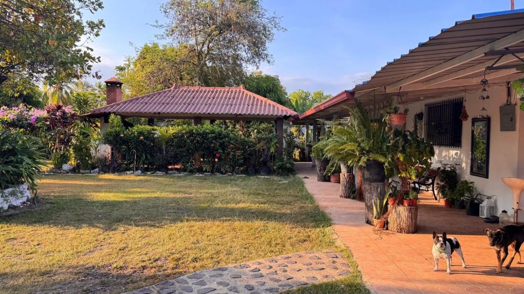 Foto sihtkohas Nueva Gorgona asuva majutusasutuse Casa Jardín Nueva Gorgona galeriist
