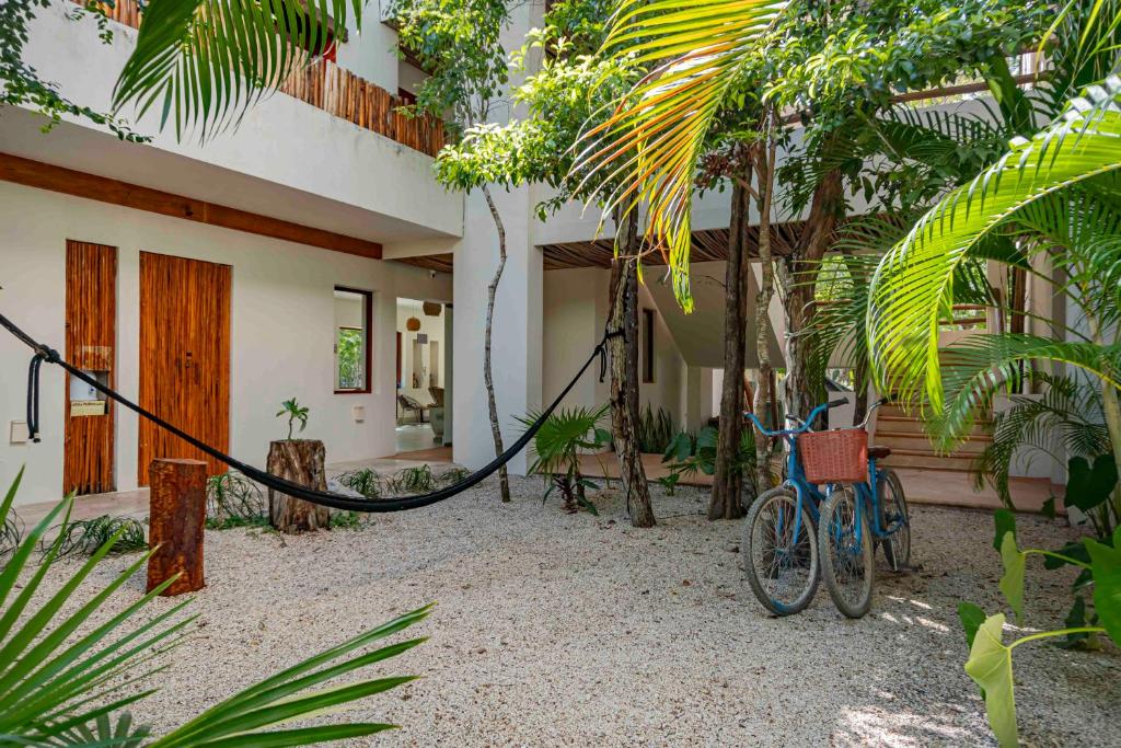 Hosté ubytování Niik Tulum
