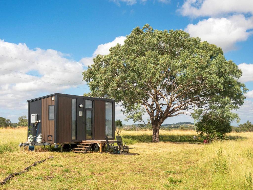 una casa pequeña sentada en un campo junto a un árbol en The Rocky At Stones Throw Away by Tiny Away, en Pittsworth