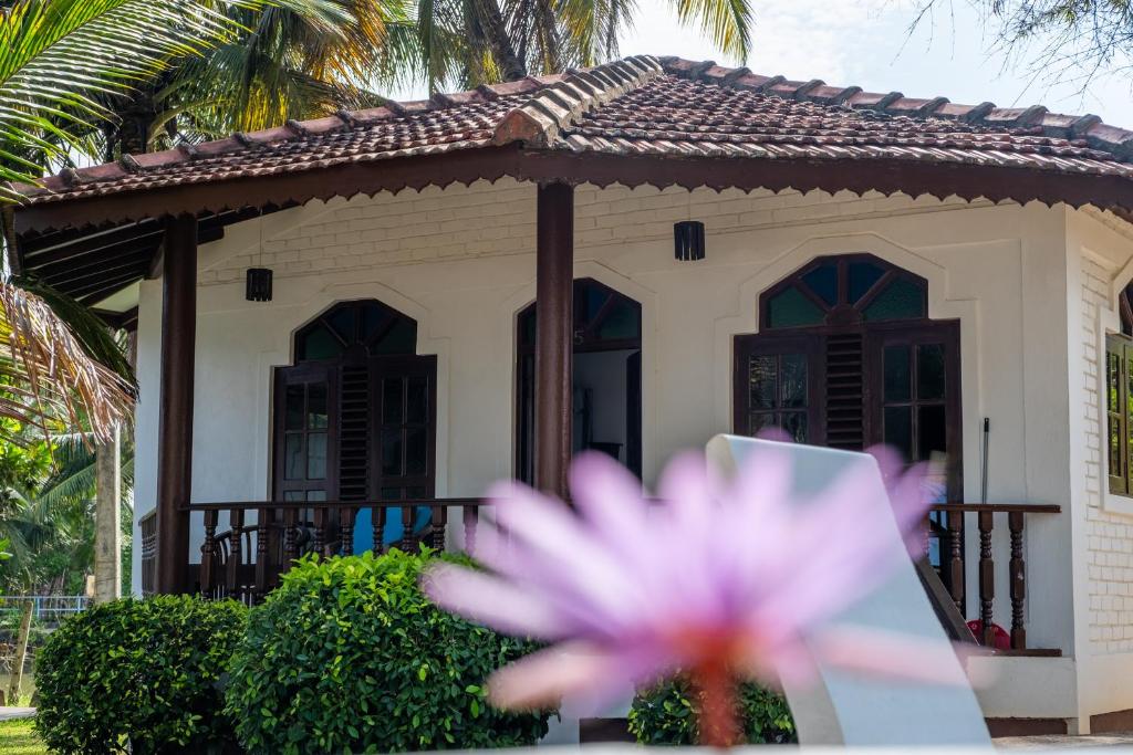 Serenity Beach Cabanas - 7