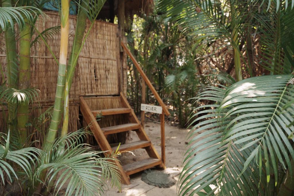 Zahrada ubytování Kactus-Your Island Sanctuary On Koh Ta Kiev