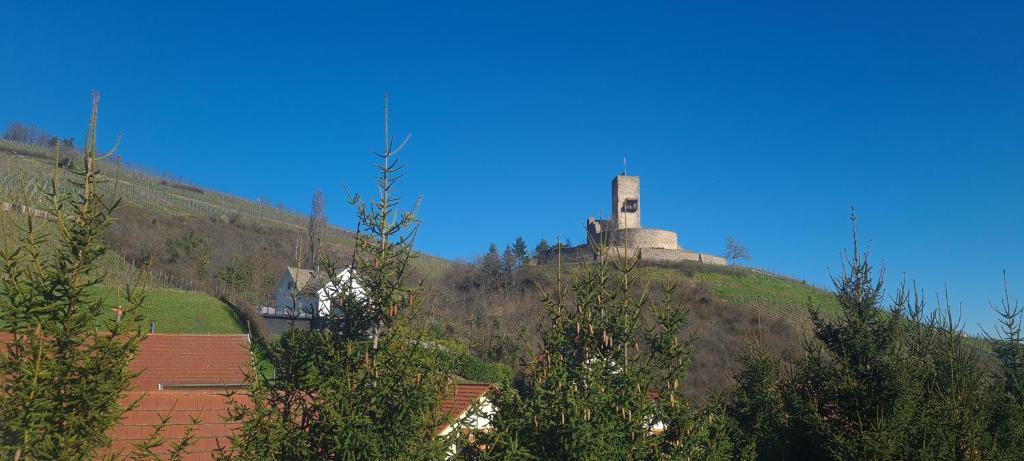 Příroda nedaleko bed and breakfast