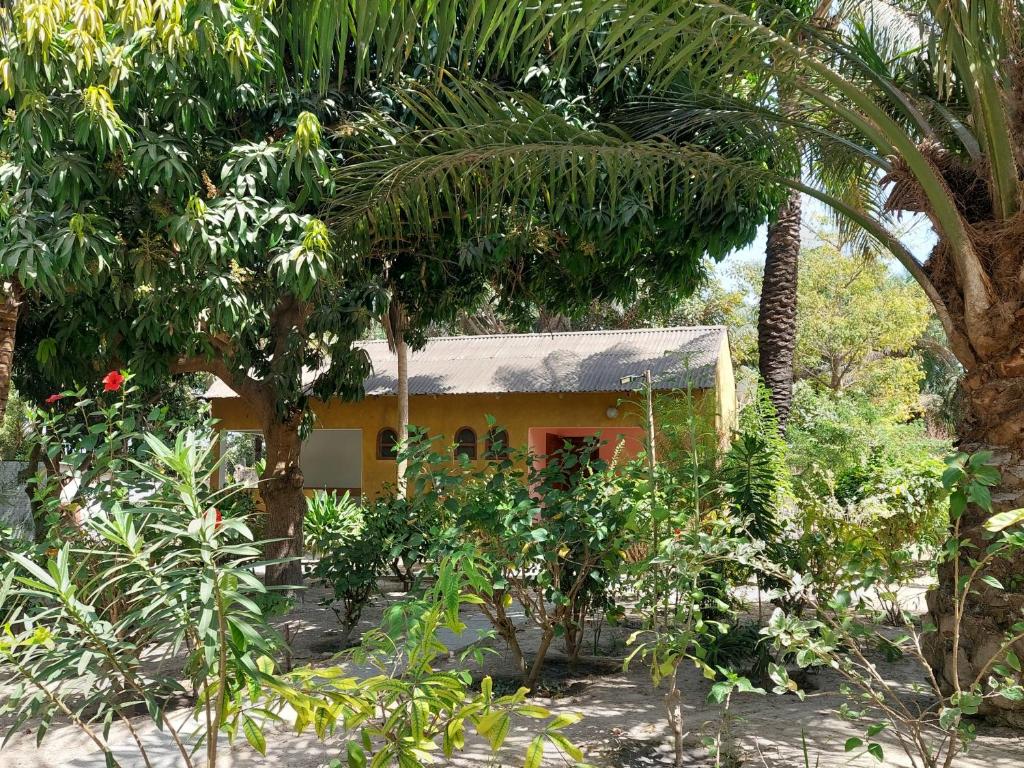 a small yellow house in the middle of trees at Bolongs Passion in Cap Skirring
