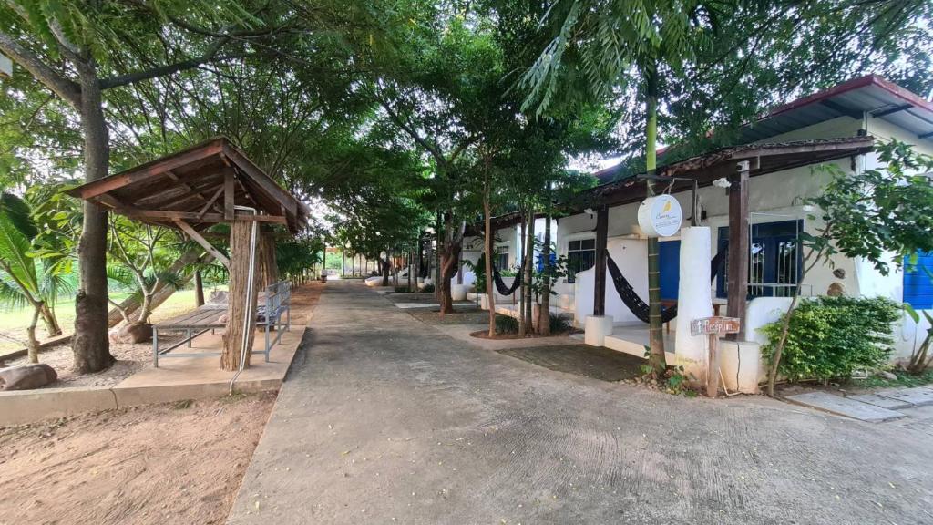 Canary Guesthouse - 4