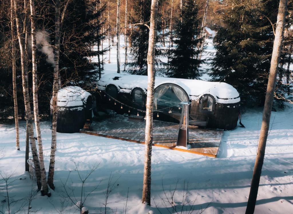 Pedaspä Igloo House and Sauna v zimě