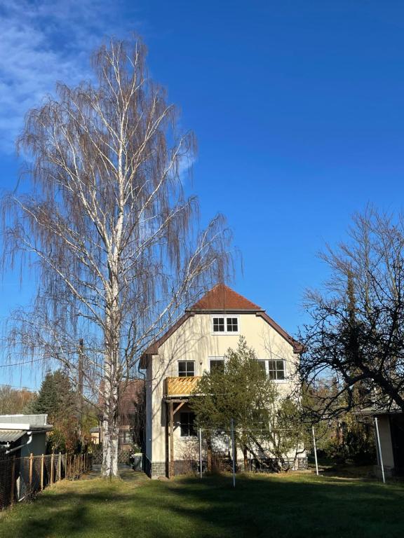 een groot wit huis met een boom ervoor bij Ferienwohnung Am Wald in Großschönau