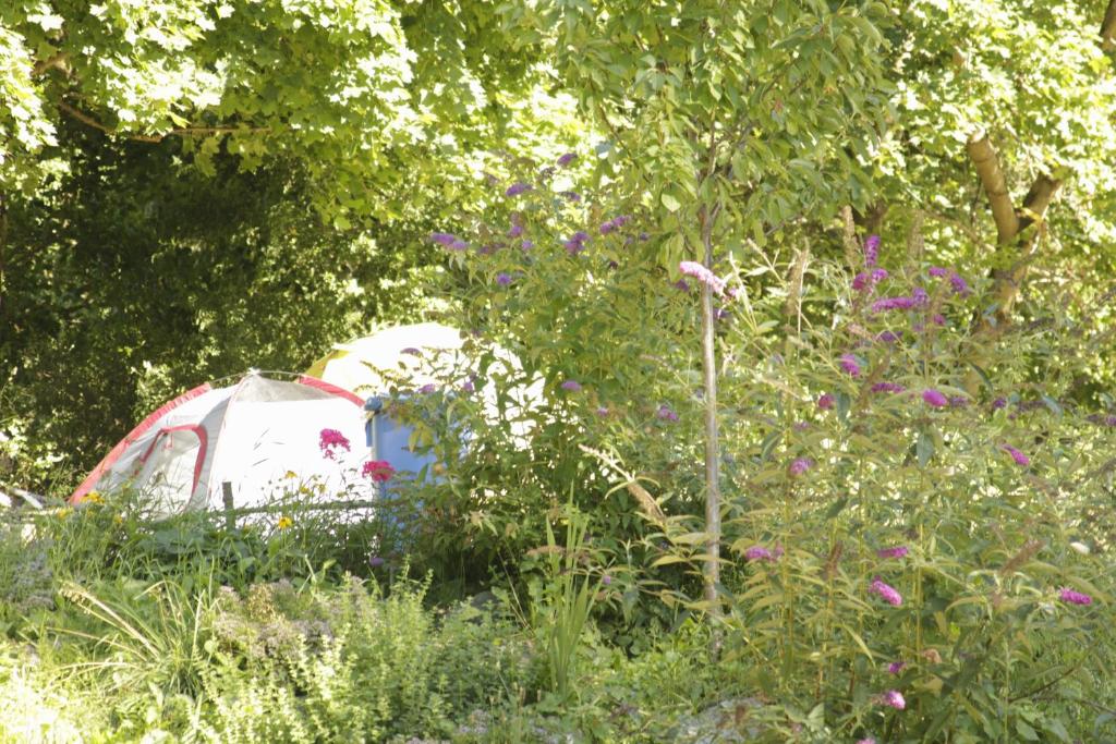 Zahrada ubytování THE TENT - Youth Only - Buchung leider nur bis 30 Jahre möglich!