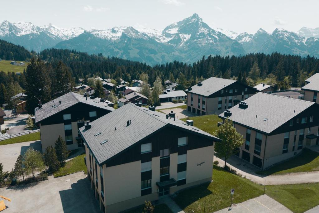 Příroda nedaleko apartmánu