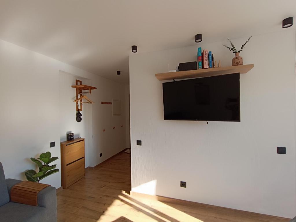 TV a/nebo společenská místnost v ubytování Jõhvi Home