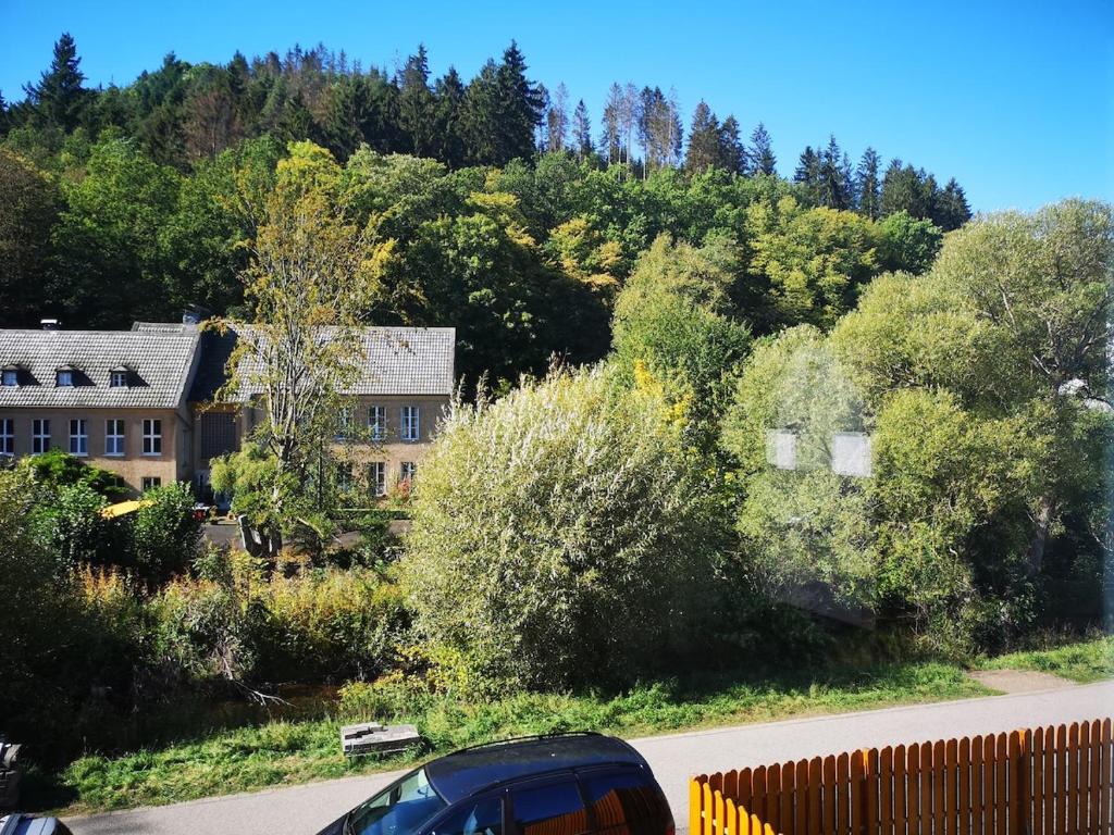 a car parked on a road next to a house at Waldoase im Nationalpark Eifel für 4 Personen und max 2 Hunde in Schleiden
