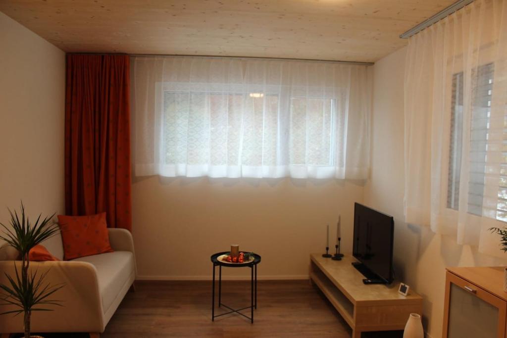 TV a/nebo společenská místnost v ubytování Ruhiges, schönes Studio in Zuchwil