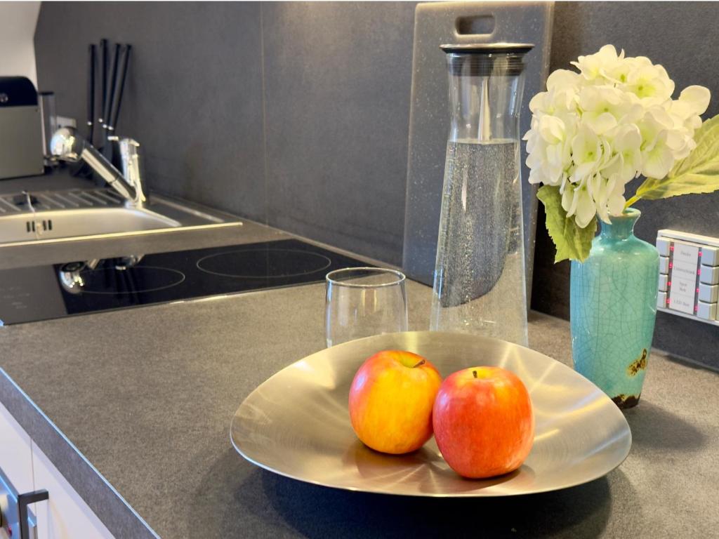 Kuchyň nebo kuchyňský kout v ubytování Living & Serviced Apartments by Blauer Wolf