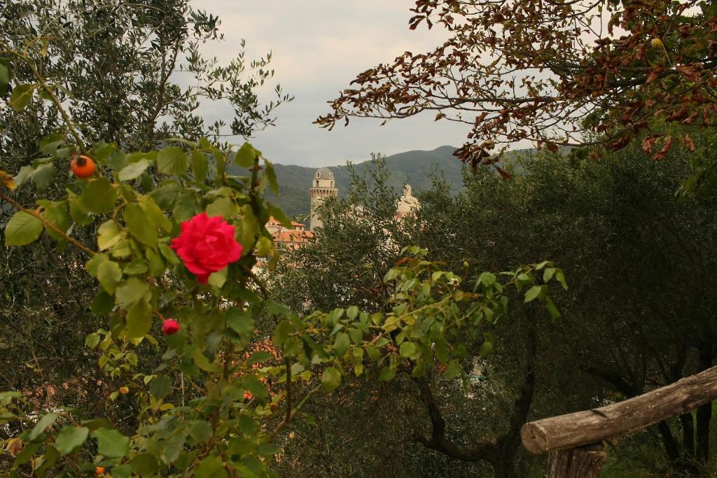 Al Vecchio Convento Mare e Monti - Pièce Quadruple Avec Vue Sur La Montagne