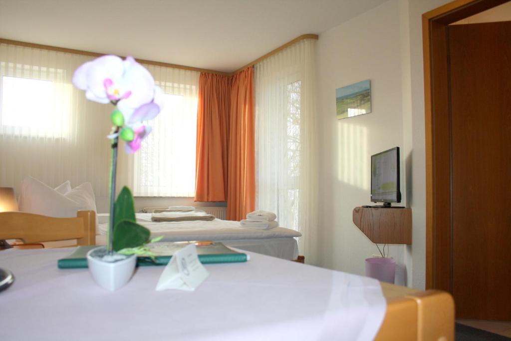 TV a/nebo společenská místnost v ubytování Hotel Nordwind