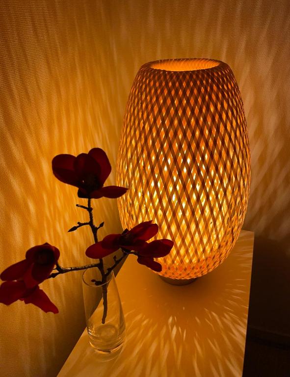 Fotografie z fotogalerie ubytování 島屋Minn v Osace