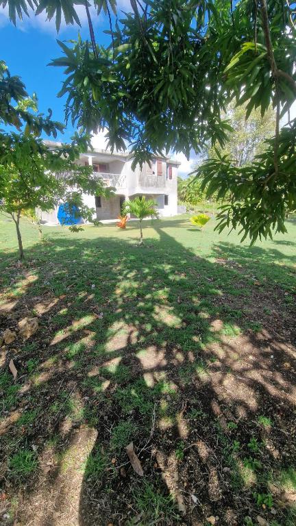 a view of a yard with trees and a house at Maison de vacances Palmier in Sainte-Anne