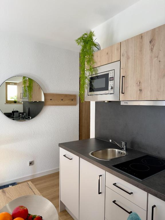 Kuchyň nebo kuchyňský kout v ubytování Living & Serviced Apartments by Blauer Wolf