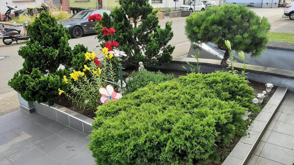 Zahrada ubytování Ferienwohnung Andreea