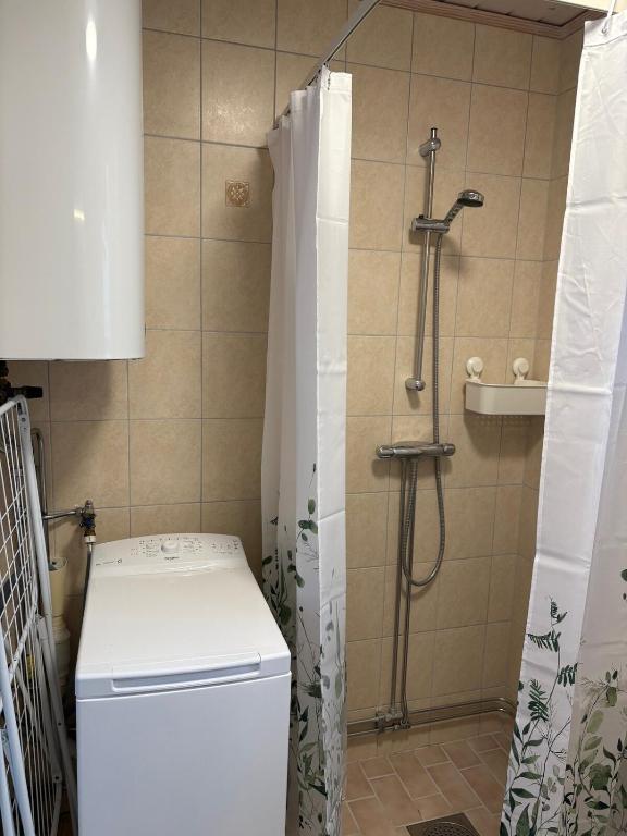 Koupelna v ubytování Stuga i Gnisvärd