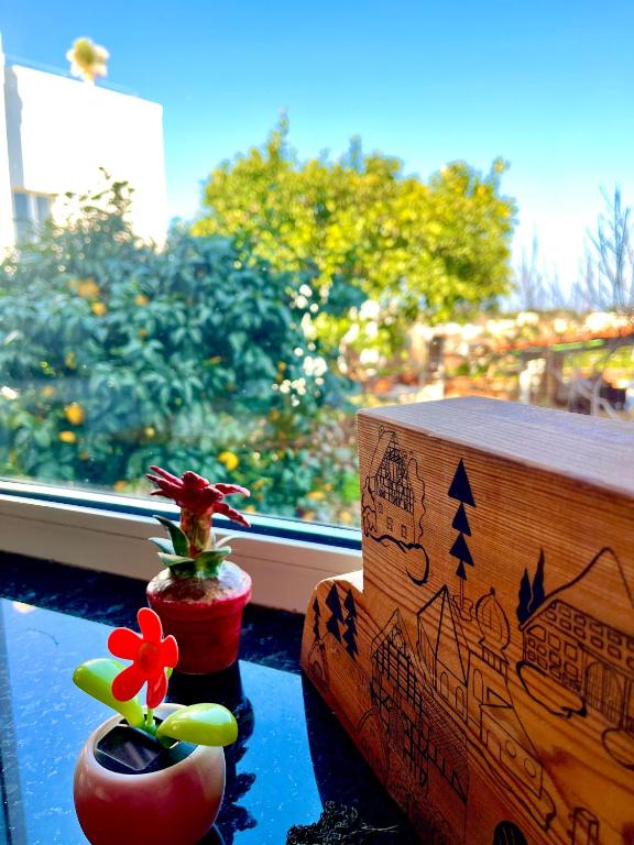 a window sill with two vases with flowers and a box at Villa Elke in Ischia Town