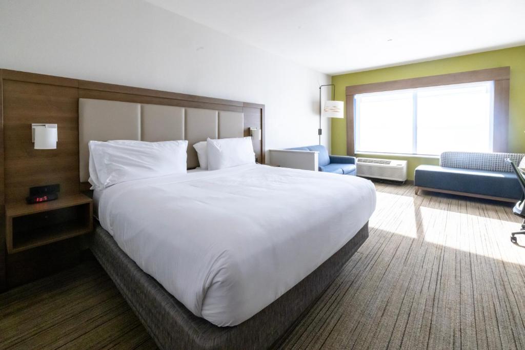 Holiday Inn Express & Suites Dallas NE Arboretum - Habitación Estándar King