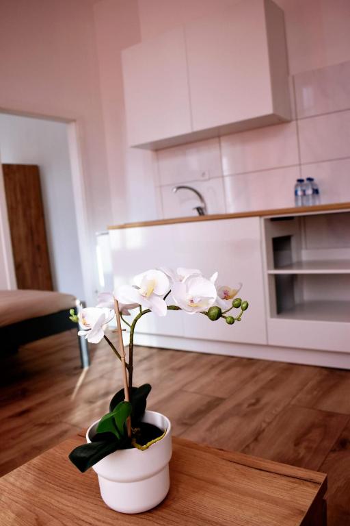 Hotel New Town - Resim 21