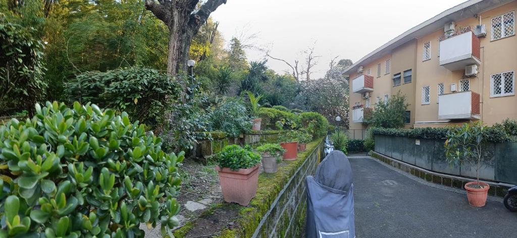 Vatican Firefly House