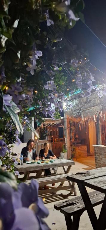 Fotografie z fotogalerie ubytování Aloevera villa v Negombu