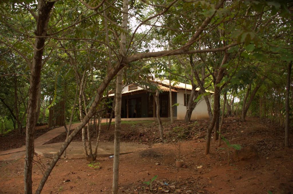 a house in the middle of a forest at Casa Rosier - Charme rústico e aconchegante em Lençóis in Lençóis