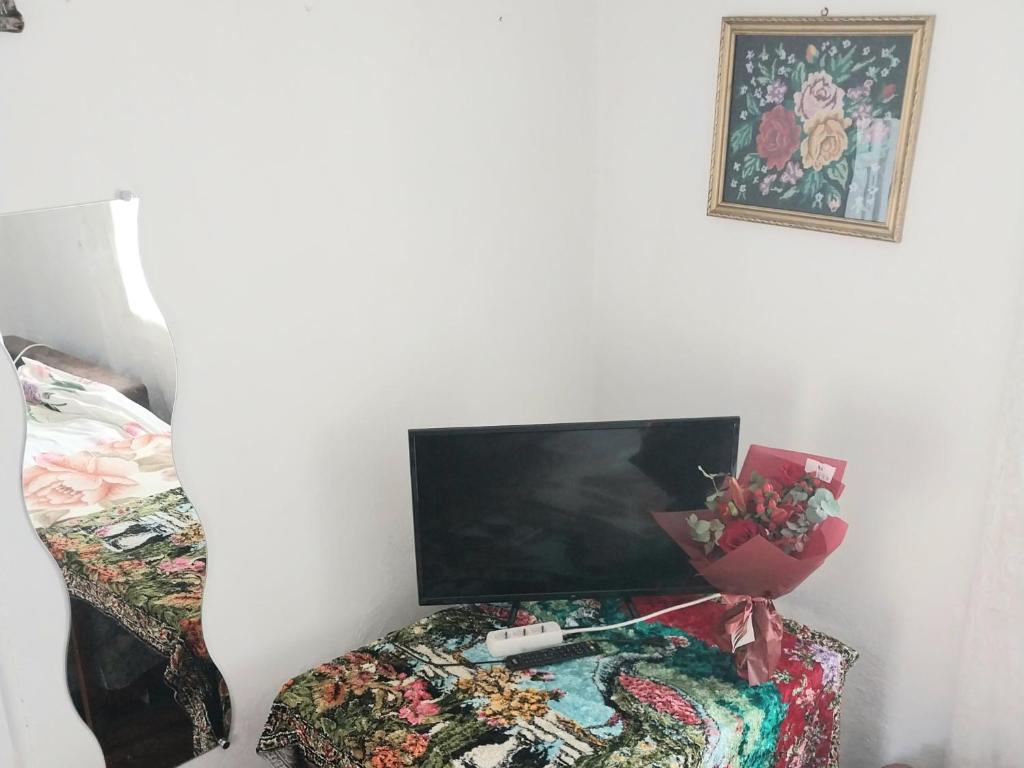 TV a/nebo společenská místnost v ubytování RUSTIC SEJOUR,Roşia Montana