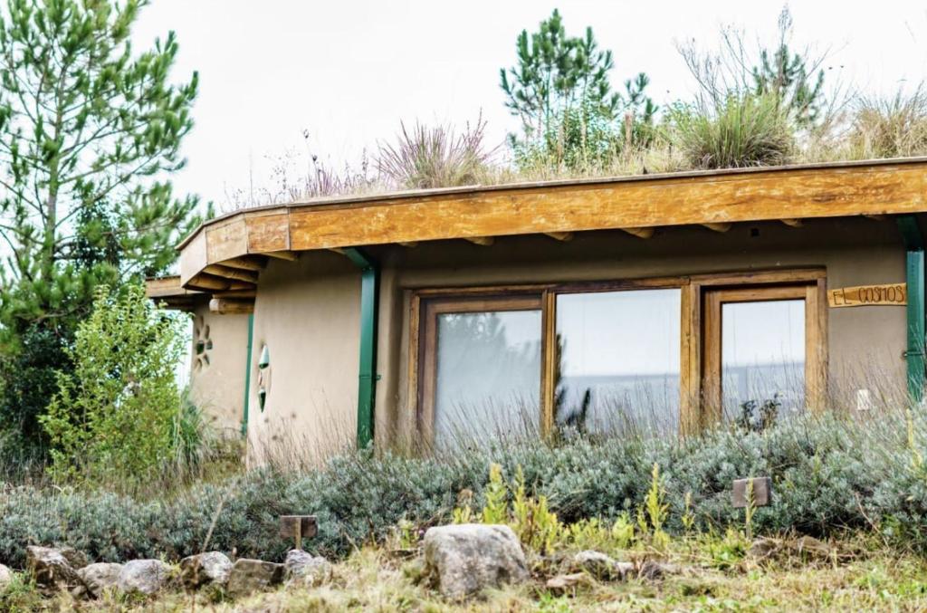 Una casa vieja con plantas encima. en Centro Umepay, en Rincón de Luna