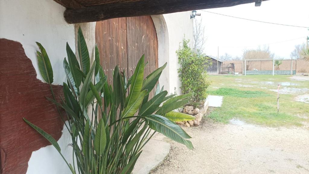 Vonkajšia záhrada v ubytovaní Masia Rural Can Ribes